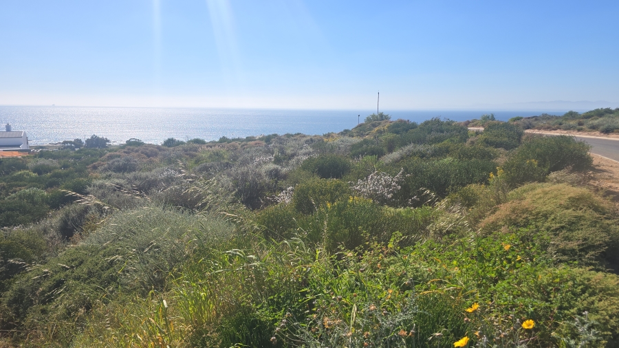 0 Bedroom Property for Sale in St Helena Views Western Cape